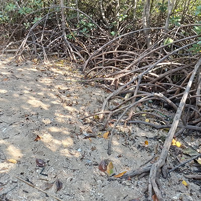 AFTER beach cleanup Jembrana Sumberkima Ocean - Partner Azenco Outdoor